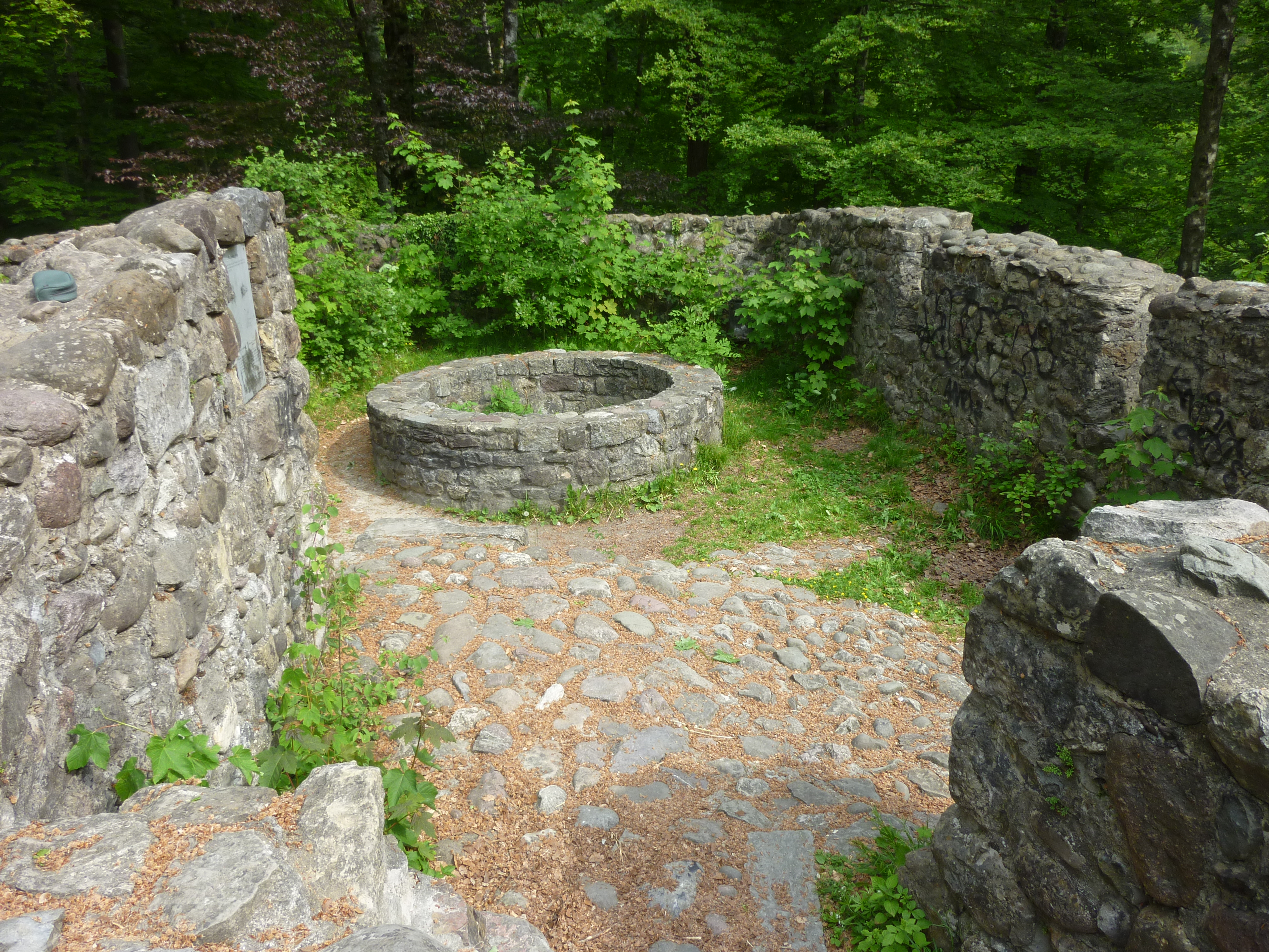 Die Burgruine mit der Brunnenöffnung